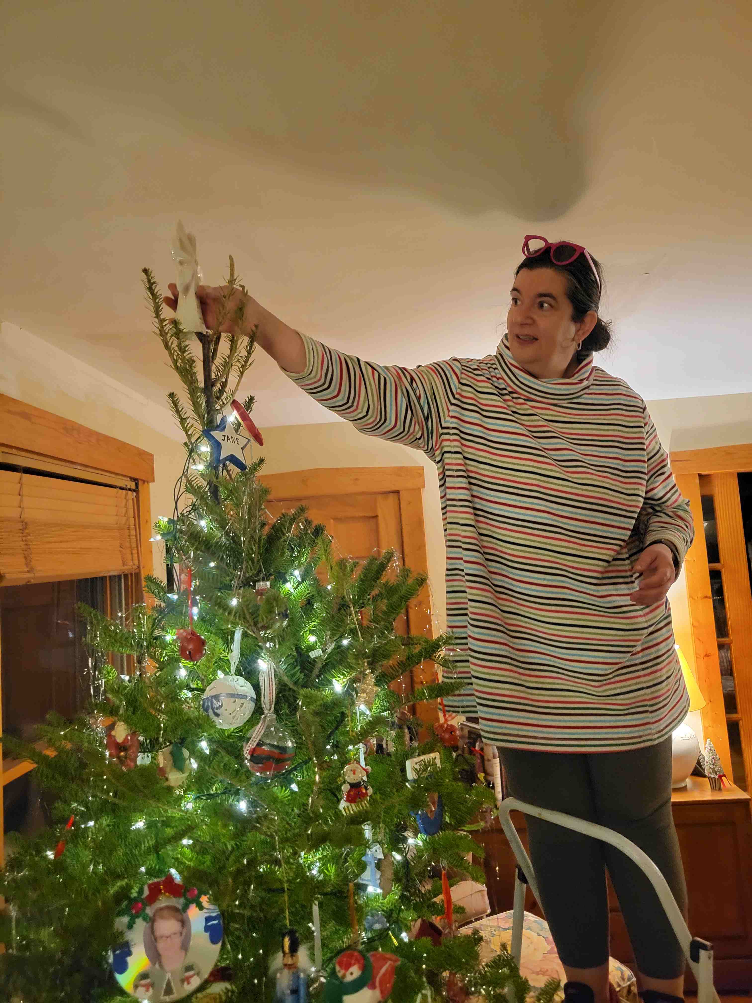 2022-12-18 topping out the tree.jpg